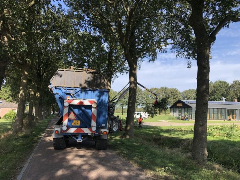 Onderhoud aan de bomen