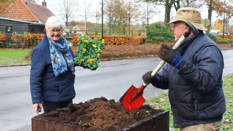 Nieuwe planten in de bloembakken