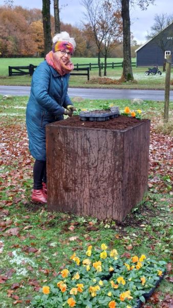 Nieuwe planten in de bloembakken