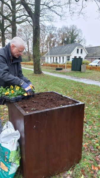 Nieuwe planten in de bloembakken