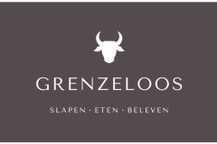 Logo-Grenzeloos