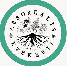 Logo Arborealis