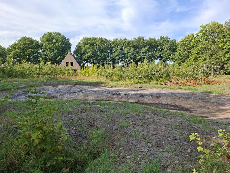 Vijverbosje