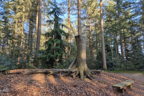 Kort nieuws – maart 2026