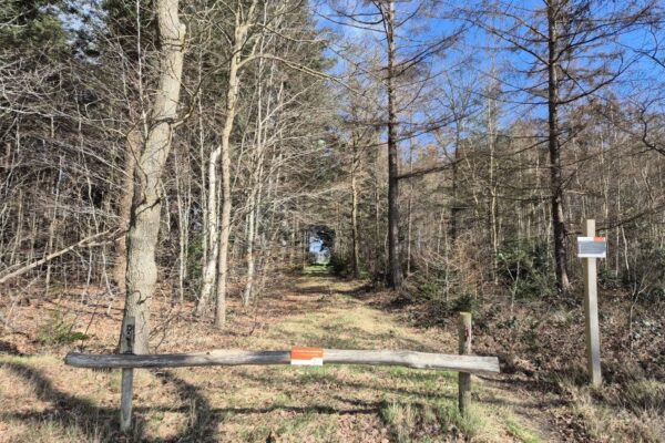 Huis Westerbeek – maart 2026