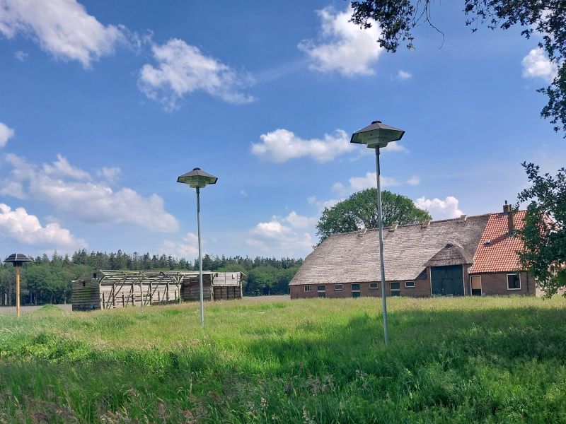 Vogeltillen