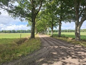 Bomen