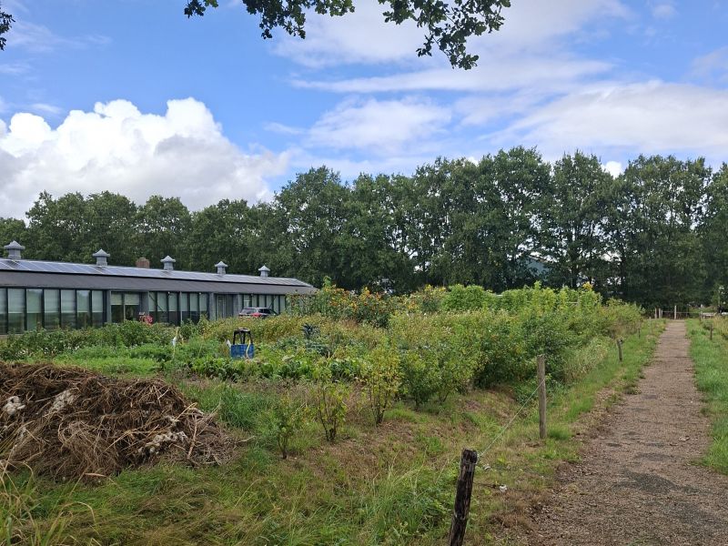 Voedseltuin Kiemhuis